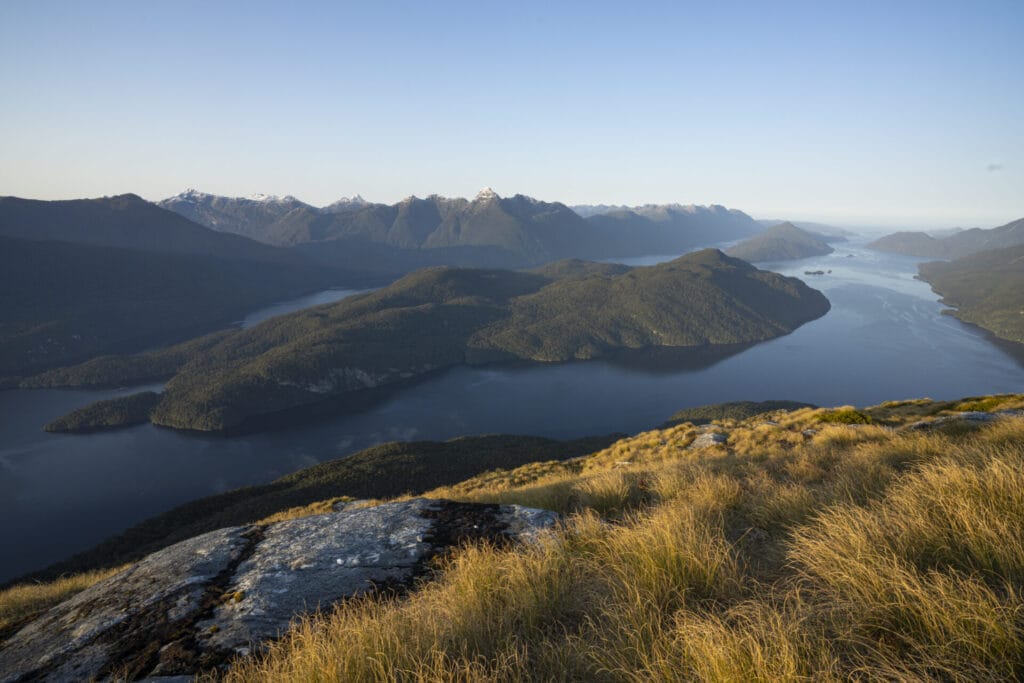 High up on tussock covered hill looking over Milford Sounds