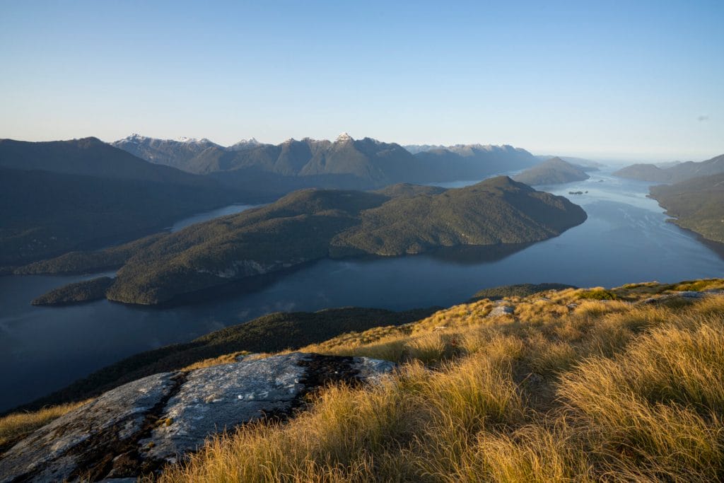 High up on tussock covered hill looking over Milford Sounds